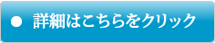 詳細を見る