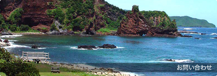 島風便